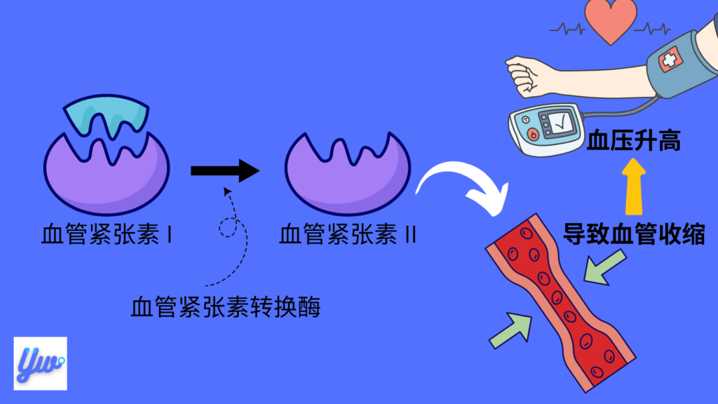 Perinace是什么