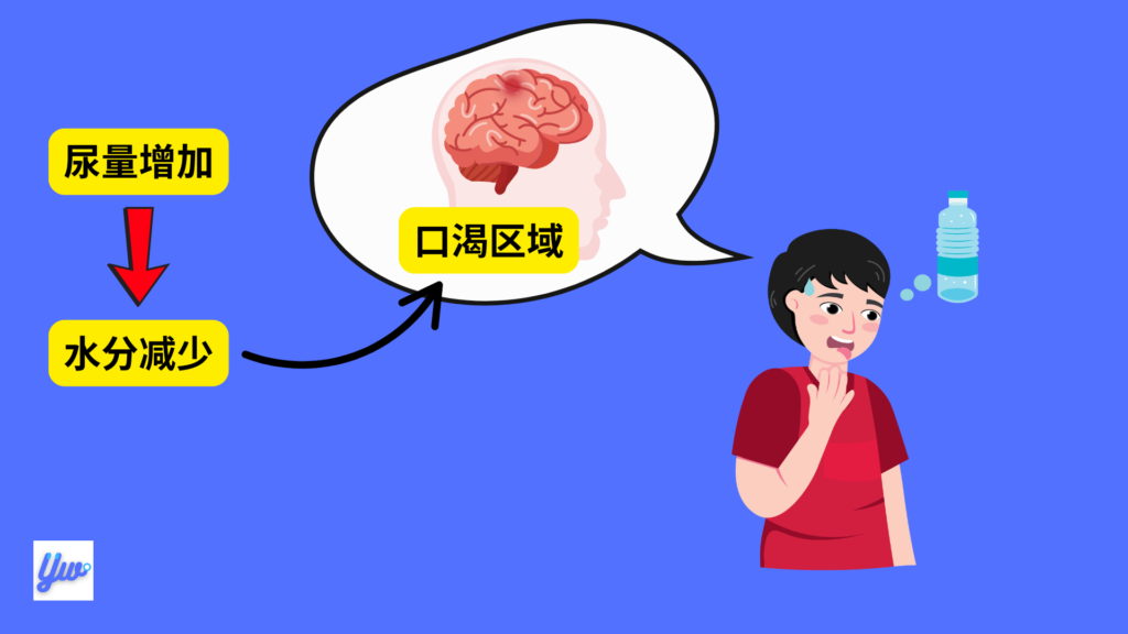 糖尿病早期症状有哪些