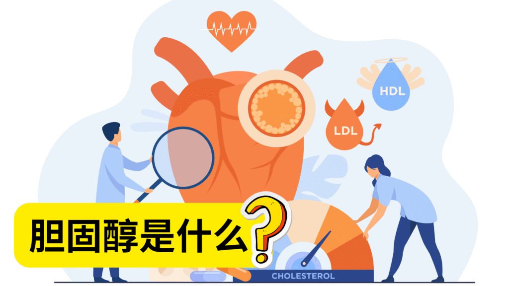 胆固醇是什么