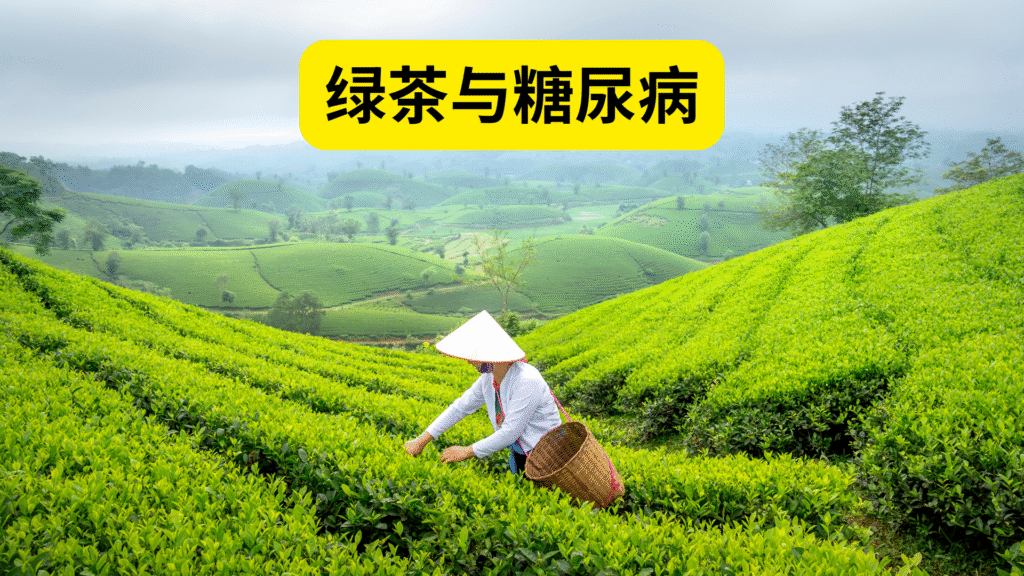绿茶与糖尿病